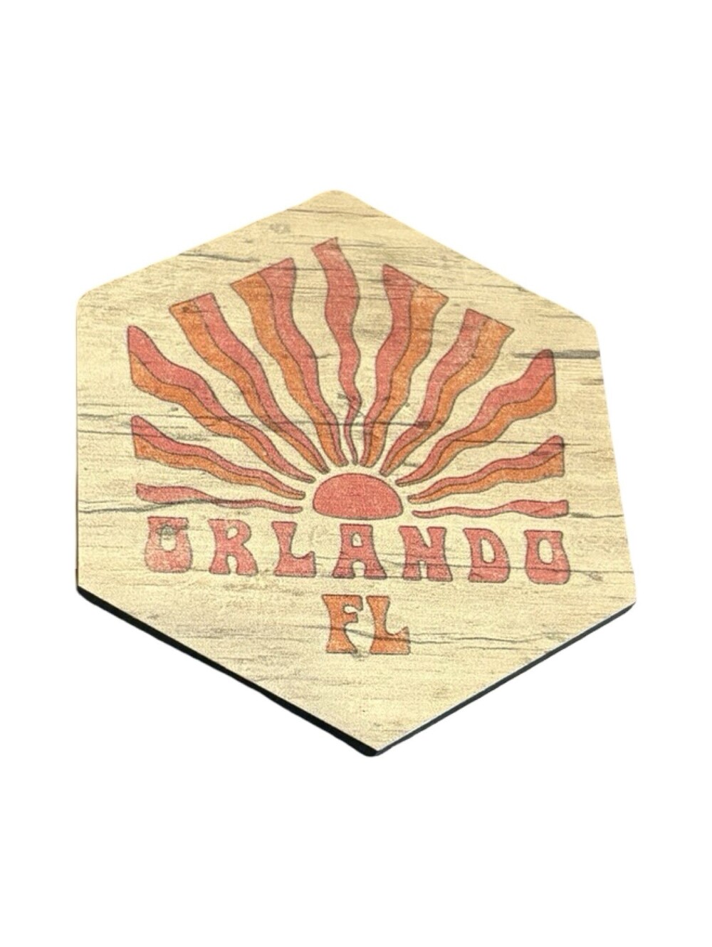 Orlando Florida Wood FRIDGE MAGNET travel souvenir 4”